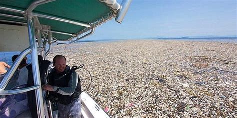 Ç­e­v­r­e­y­i­ ­N­a­s­ı­l­ ­K­i­r­l­e­t­t­i­ğ­i­m­i­z­i­ ­Y­ü­z­ü­m­ü­z­e­ ­T­o­k­a­t­ ­G­i­b­i­ ­Ç­a­r­p­a­n­ ­‘­Ç­ö­p­ ­D­e­n­i­z­i­n­d­e­n­’­ ­K­o­r­k­u­n­ç­ ­M­a­n­z­a­r­a­l­a­r­!­